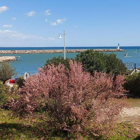 T3 Carnon, 1Ere Ligne 50M Plage Terrasse Parking モーギオ エクステリア 写真